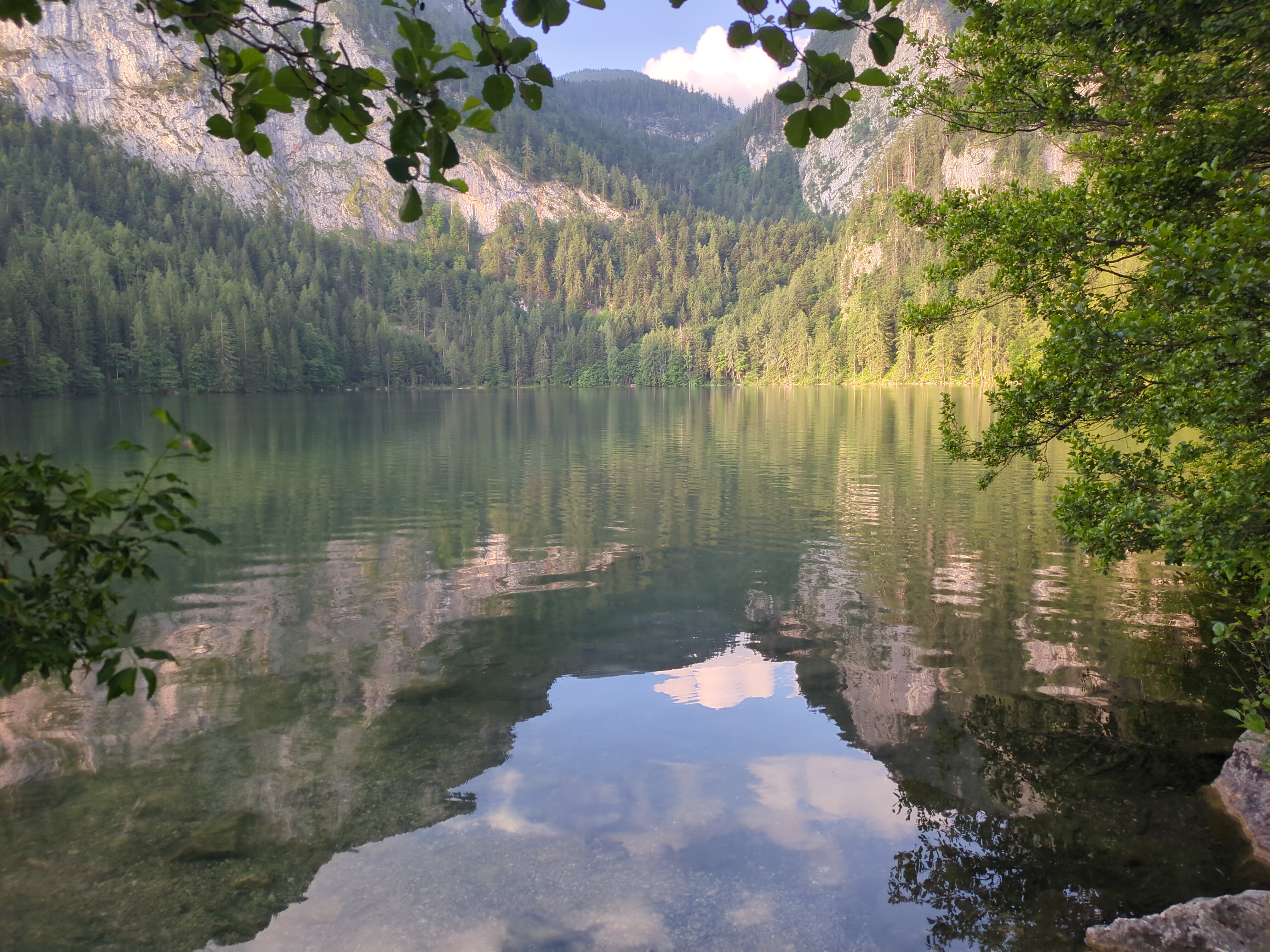 Rundes Bild, von oben nach unten, hellblauer Himmel mit weißer Wolke, bewaldete Berge, grüner Wald, ab der Mitte des Bildes der See. Ganz unten spiegelt sich das eben beschriebene im Wasser. Es sind ganz kleine Wellen zu erkennen. Links und rechts hängen Blätter und Zweige ins Bild. Die Morgensonne scheint von links hinten nach rechts vorne. Fotograf CRW, Jahr 2025, Ort Gleinkersee, Spital am Pyhrn, Oberösterreich, Österreich.